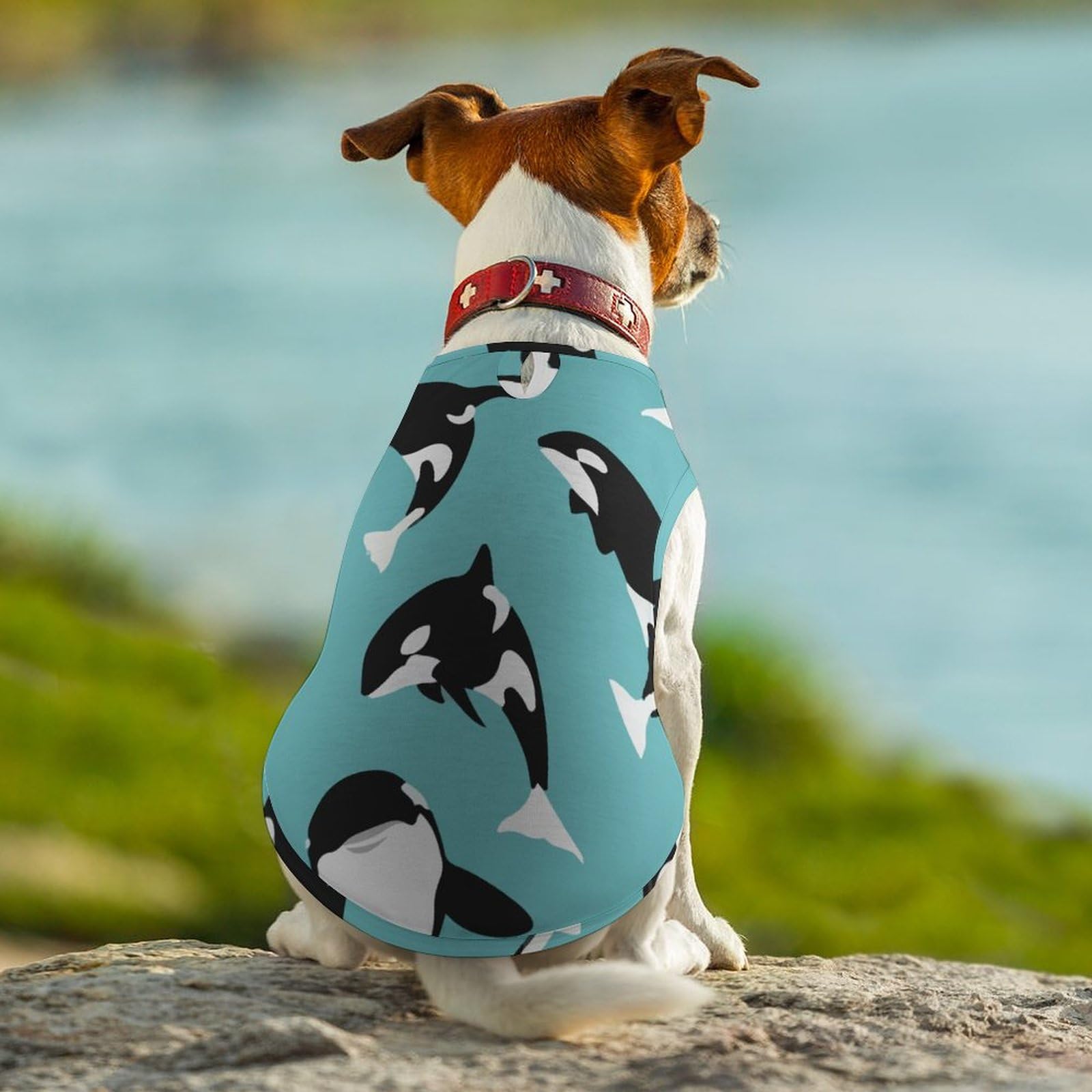 Amazon.co.jp: シャチ柄 鯱柄 ペット服 犬服 春夏秋 Tシャツ 袖なし 犬